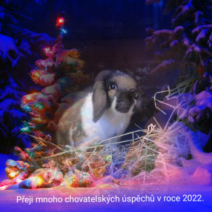 christmasphoto1640528327135.png